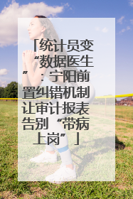 统计员变“数据医生”：宁阳前置纠错机制让审计报表告别“带病上岗”