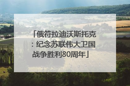 俄符拉迪沃斯托克：纪念苏联伟大卫国战争胜利80周年