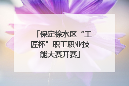 保定徐水区“工匠杯”职工职业技能大赛开赛