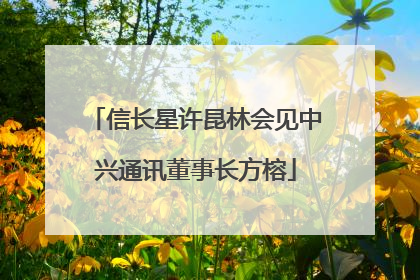 信长星许昆林会见中兴通讯董事长方榕