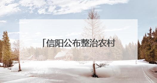 信阳公布整治农村假劣食品典型案例