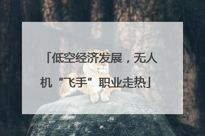 低空经济发展，无人机“飞手”职业走热