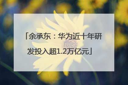 余承东：华为近十年研发投入超1.2万亿元