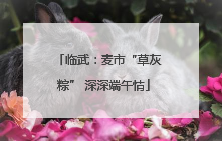 临武：麦市“草灰粽” 深深端午情