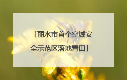丽水市首个空域安全示范区落地青田