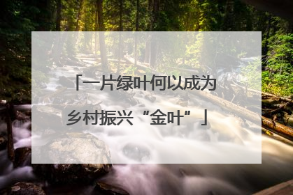 一片绿叶何以成为乡村振兴“金叶”