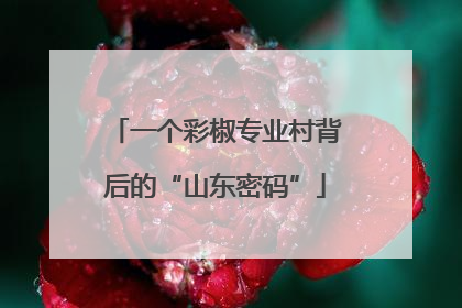 一个彩椒专业村背后的“山东密码”