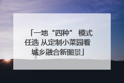 一地“四种” 模式任选 从定制小菜园看城乡融合新图景