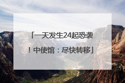 一天发生24起恐袭！中使馆：尽快转移