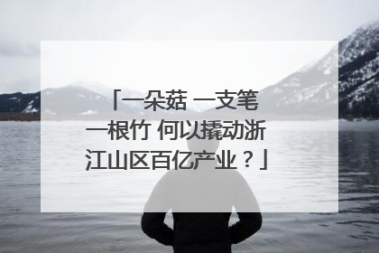 一朵菇 一支笔 一根竹 何以撬动浙江山区百亿产业？