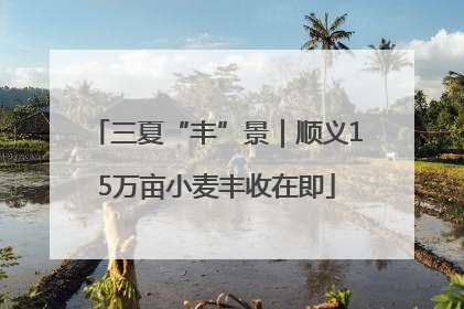 三夏“丰”景｜顺义15万亩小麦丰收在即