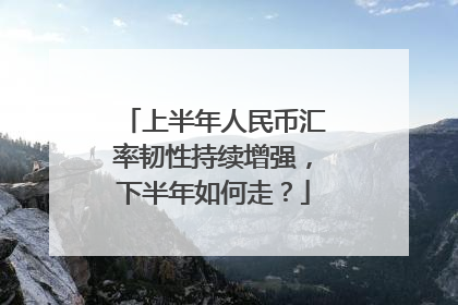 上半年人民币汇率韧性持续增强，下半年如何走？