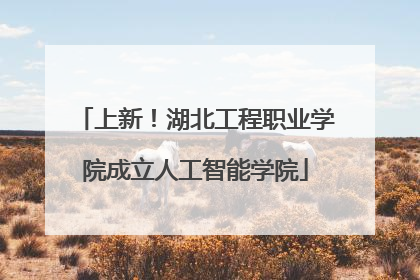 上新！湖北工程职业学院成立人工智能学院