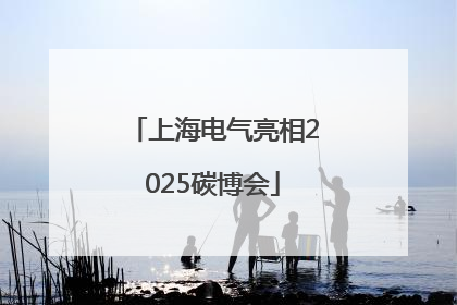 上海电气亮相2025碳博会