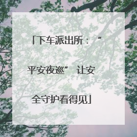 下车派出所：“平安夜巡” 让安全守护看得见