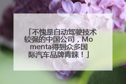 不愧是自动驾驶技术较强的中国公司，Momenta得到众多国际汽车品牌青睐！