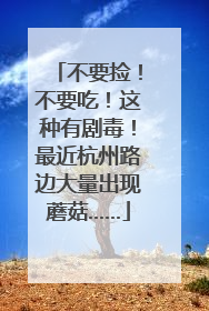 不要捡！不要吃！这种有剧毒！最近杭州路边大量出现蘑菇……