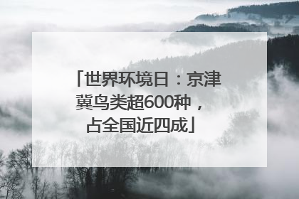 世界环境日：京津冀鸟类超600种，占全国近四成