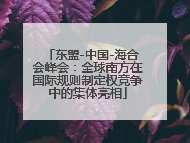 东盟-中国-海合会峰会：全球南方在国际规则制定权竞争中的集体亮相