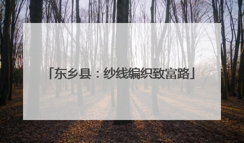 东乡县：纱线编织致富路