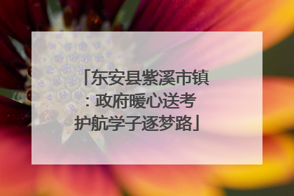 东安县紫溪市镇：政府暖心送考 护航学子逐梦路