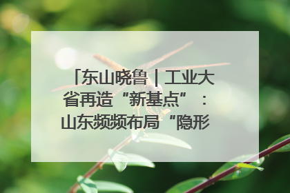 东山晓鲁｜工业大省再造“新基点”：山东频频布局“隐形冠军”背后