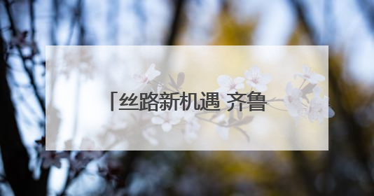 丝路新机遇 齐鲁展风采——第九届丝博会山东馆亮相