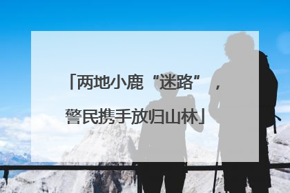 两地小鹿“迷路”，警民携手放归山林