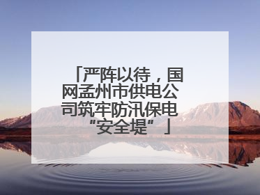严阵以待，国网孟州市供电公司筑牢防汛保电“安全堤”