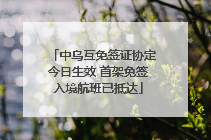 中乌互免签证协定今日生效 首架免签入境航班已抵达