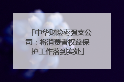中华财险枣强支公司：将消费者权益保护工作落到实处