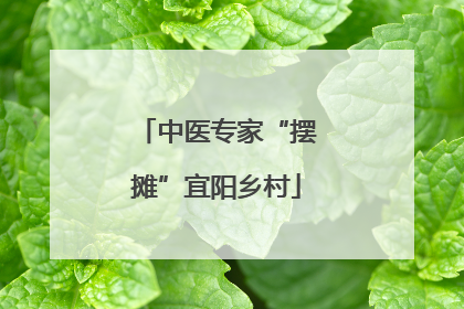中医专家“摆摊”宜阳乡村