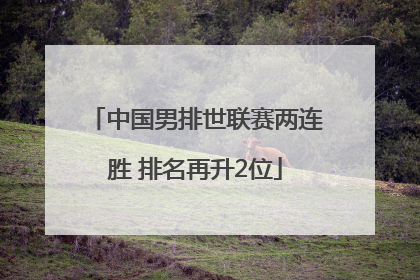 中国男排世联赛两连胜 排名再升2位