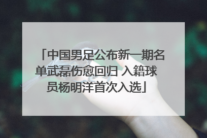 中国男足公布新一期名单武磊伤愈回归 入籍球员杨明洋首次入选