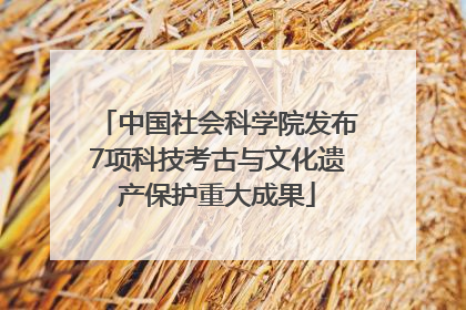 中国社会科学院发布7项科技考古与文化遗产保护重大成果