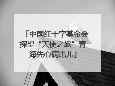 中国红十字基金会探望“天使之旅”青海先心病患儿