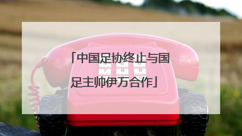 中国足协终止与国足主帅伊万合作