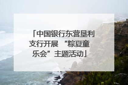 中国银行东营垦利支行开展 “粽夏童乐会”主题活动