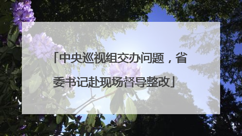 中央巡视组交办问题，省委书记赴现场督导整改