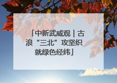 中新武威观｜古浪“三北”攻坚织就绿色经纬