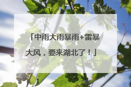 中雨大雨暴雨+雷暴大风，要来湖北了！