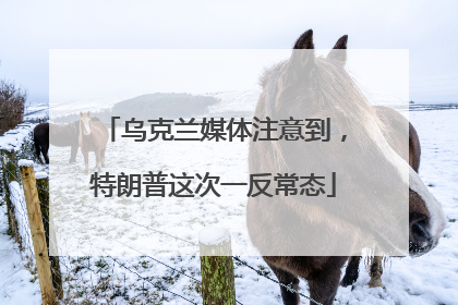 乌克兰媒体注意到，特朗普这次一反常态