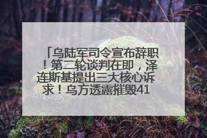 乌陆军司令宣布辞职！第二轮谈判在即，泽连斯基提出三大核心诉求！乌方透露摧毁41架俄战略轰炸机