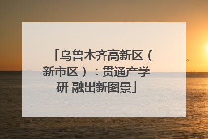 乌鲁木齐高新区（新市区）：贯通产学研 融出新图景