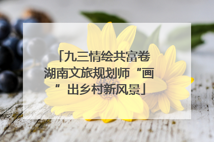 九三情绘共富卷 湖南文旅规划师“画”出乡村新风景