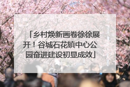 乡村焕新画卷徐徐展开！谷城石花镇中心公园奋进建设初显成效