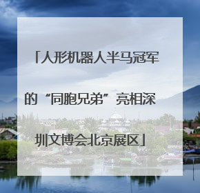 人形机器人半马冠军的“同胞兄弟”亮相深圳文博会北京展区