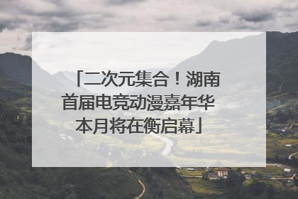 二次元集合！湖南首届电竞动漫嘉年华本月将在衡启幕