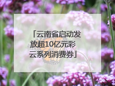 云南省启动发放超10亿元彩云系列消费券