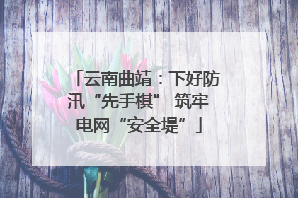 云南曲靖：下好防汛“先手棋” 筑牢电网“安全堤”